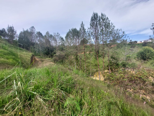 Venta De Lote En San Vicente Antioquia - Vereda Chaparral * Bajó De Precio*