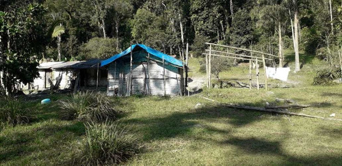 Imagem 4 de 10 de Fazenda Com 256 Alqueires Ideal Para Compensação Ambiental
