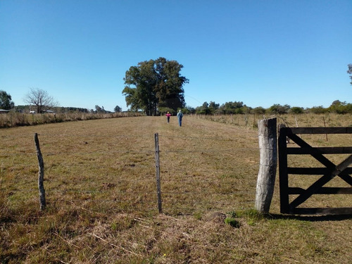 Imagen 3 de 14 de Bustamante Prop Campo Venta San Jose Colon Entre Rios