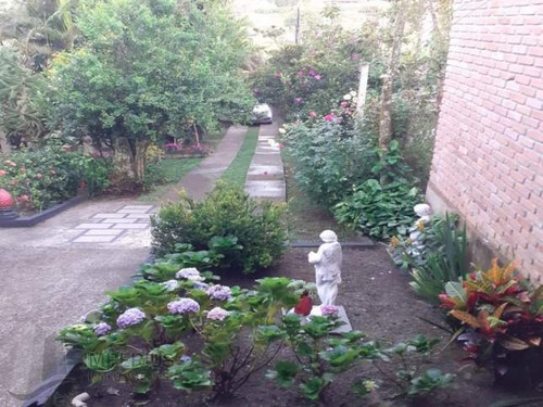 Imagem 5 de 10 de Vende-se Rural Chácara - 3853