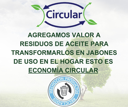 Jabón Ecológico Y Biodegradable Para Manos Circular 2l