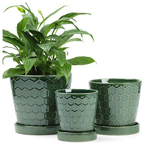 Succulent Planter 4+5+6 Inch Ceramic Flower Pot With Dr...