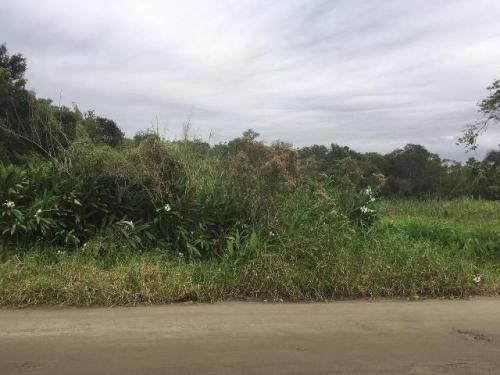 Terreno Á 600mts Da Rodovia Em Itanhaém-sp (mx)