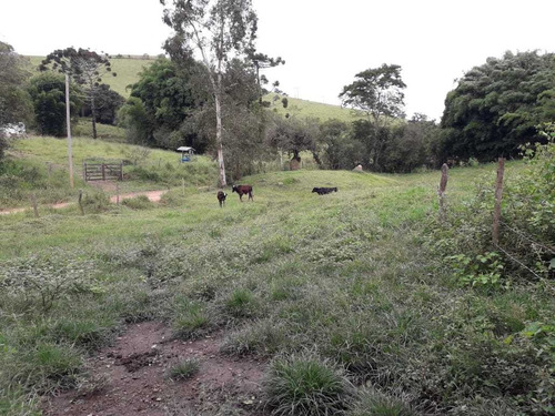 Sítio Carvalhos Com 20.000 M2 - 494