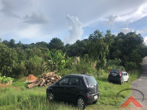 Imagem 2 de 4 de Terreno - 1289 - 33718682
