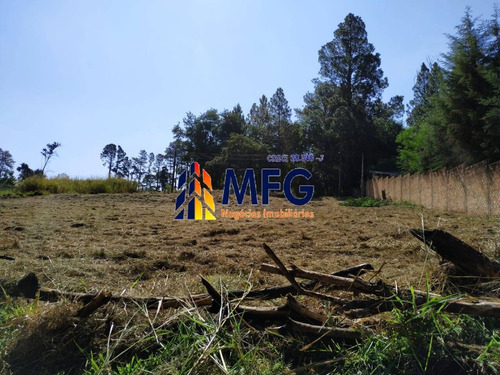 Imagem 4 de 6 de Excelente Terreno Para Chácara Em Avaré - Sp - 7126