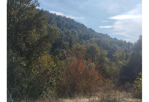 (051) El Bolson, Terreno De 1/2 Ha Frente A Camino Con Costa De Rio Azul