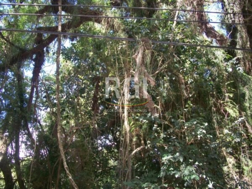 Terreno Em Belém Novo - Vi3499