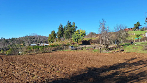 Parcela Rusticas, 5000m2 En Chacay,sta. Juana (112739)