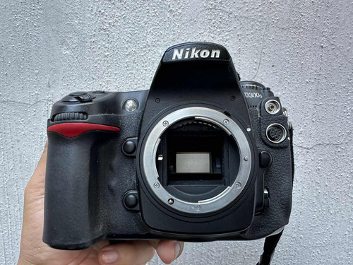 Nikon D300s