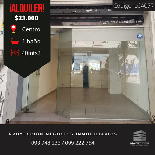 Local Comercial En El Centro