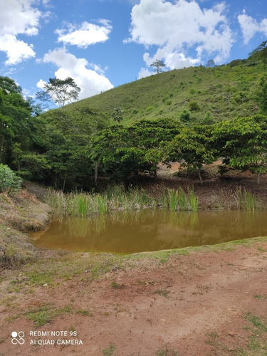 Sítio Com Casa E Mina De Água Maravilhosa!