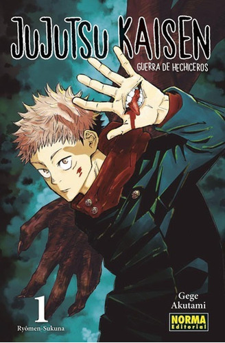 Jujutsu Kaisen No. 1