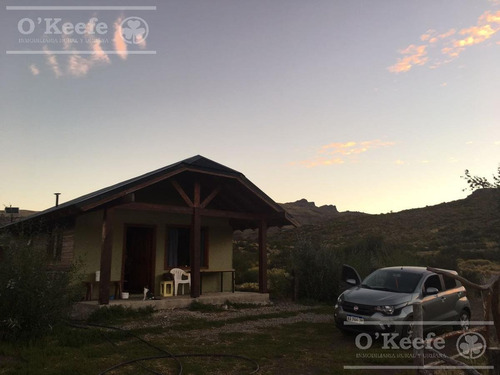 Imagen 12 de 30 de Chacra En Bariloche Sobre El Río Limay - Pesca Patagonia