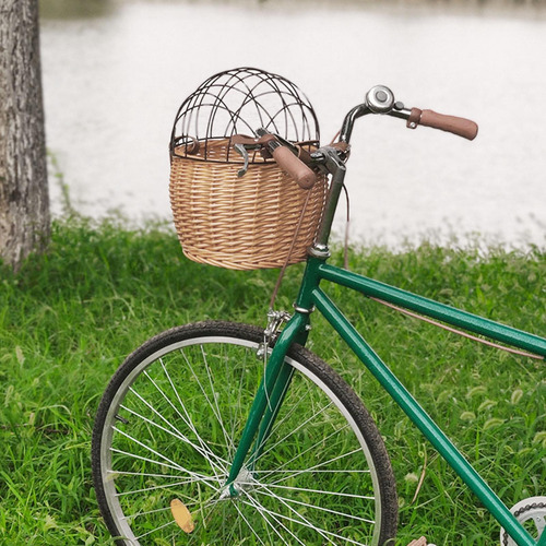 Mascotas, Gato, Perro, Bicicleta Delantera, Cesta Madera