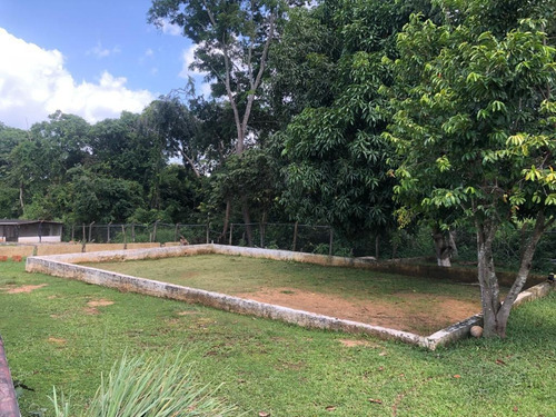 Imagen 18 de 18 de Finca En Sabana Del Medio 0414-4709961
