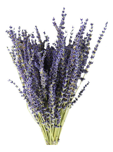 T Flores Secas De Lavanda De Ornamento 50 Unidades