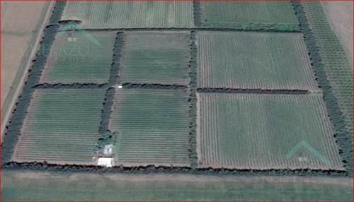 Imagen 2 de 8 de Campo - San Pedro Provincia De Buenos Aires