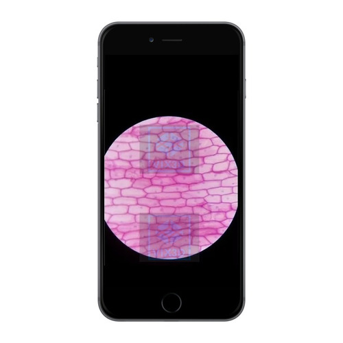 Imagem 5 de 9 de Adaptador Celular No Microscópio Para Tirar Fotos Videos