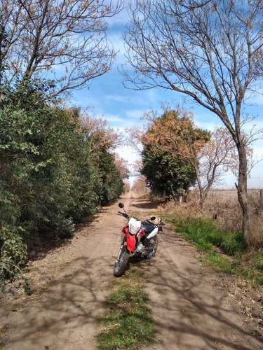 Imagen 6 de 12 de Honda Xr150l