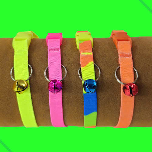 Coleira Gato Elástica Cítrica Flúor Kit C/10 Guizo Sino Pet Cor Guizo Coloridos Flúor Cítrica Cores Vibrantes Tamanho Da Coleira Único Com Regulagem De 17cm Até 30cm