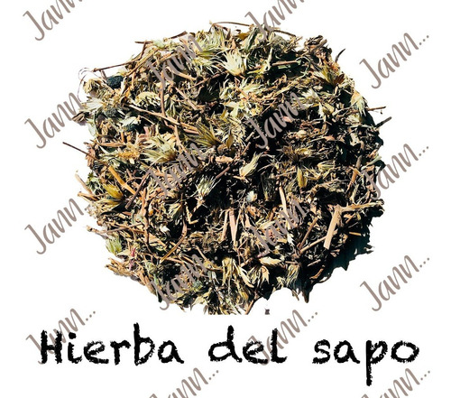Hierba Del Sapo Planta Medicinal 500g.