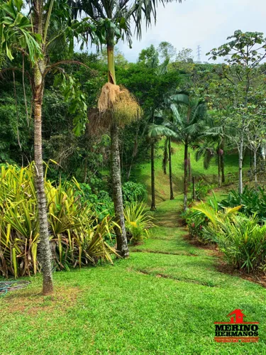 Finca En Venta En Barbosa - Popalito