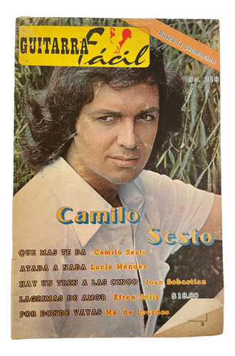 Revista Guitarra Facil #218 Camilo Sesto Lucia Mendez Joan S (Usado)