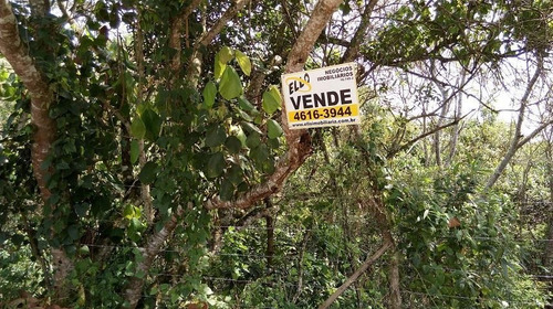 Imagem 5 de 20 de Terreno À Venda, 1000 M² Colinas, Px Ct São Paulo - Te0574