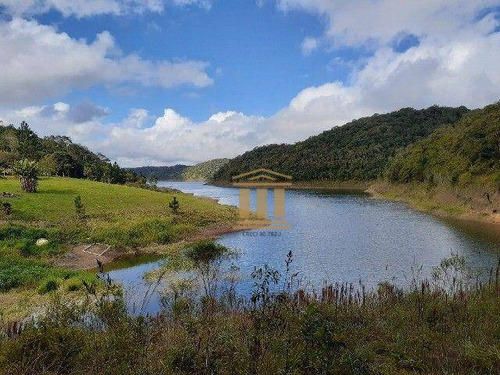 Imagem 8 de 20 de Chácara À Venda, 20000 M² Por R$ 400.000,00 - Pernambucana - Paraibuna/sp - Ch0115