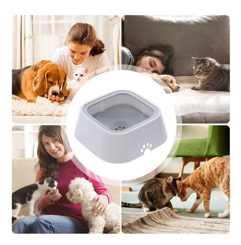Cuenco De Agua Para Perros Sin Goteo Cuenco De Agua Para Per