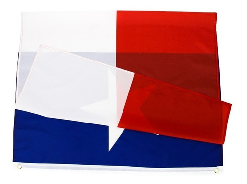 Bandeira Do Texas