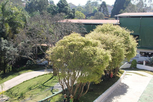 Imagem 3 de 15 de Chácara Com 6 Dormitórios À Venda, 5565 M² Por R$ 1.800.000 - Cidade Edson - Suzano/sp - Ch0014
