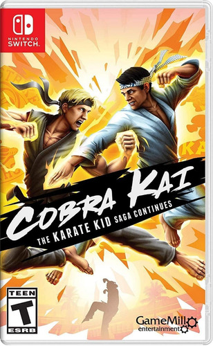 Cobra Kai The Karate Kid Saga Continues Nintendo Switch