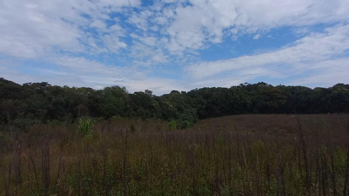 Imagem 2 de 15 de Sítio / Chácara Para Venda Em Araucária, Zona Rural, 2 Dormitórios, 1 Banheiro, 1 Vaga - 157_2-1591009