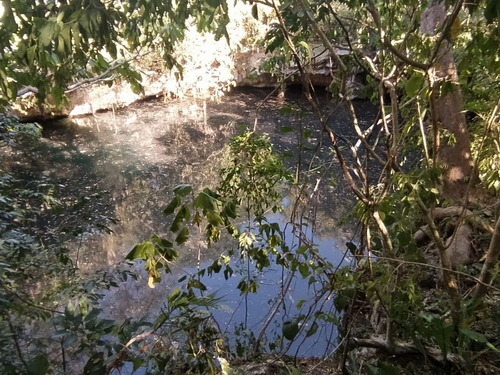 Rancho En Venta Con Cenotes En Excelente Zona Ganadera Del Estado De Yucatán