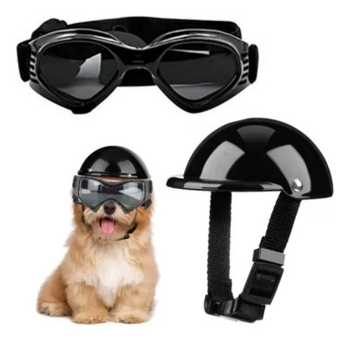 Cascos Y Gafas De Moto Para Mascotas