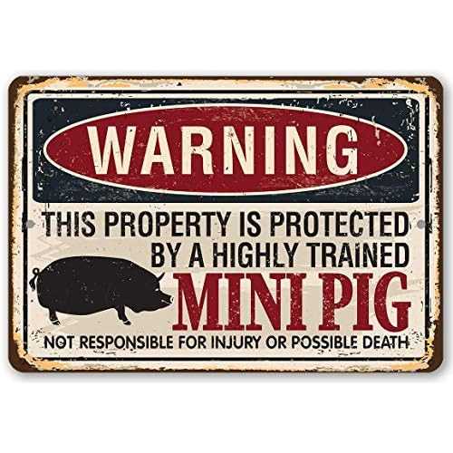 Metal Sign - Warning Property Protected By Mini Pig - D...