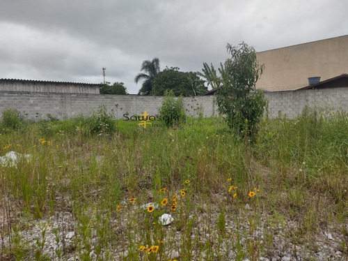 Imagem 4 de 23 de Galpão/pavilhão Para Alugar No Bairro Vargem Grande Em - 7421-2