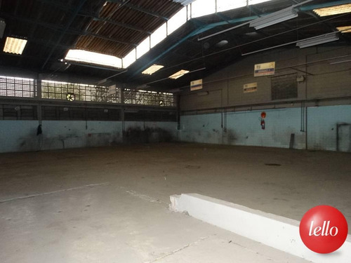 Comercial/industrial - Ref: 127969