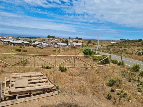 Imagen 15 de 16 de Sitio En Venta En Papudo