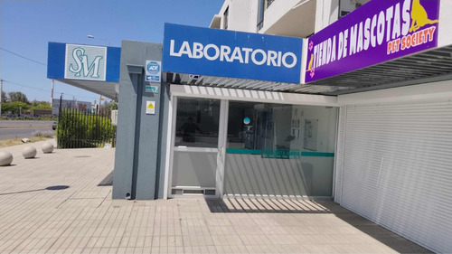 Arriendo Box 8,5m2 Y De 7,3 Para Consulta Médica La Serena