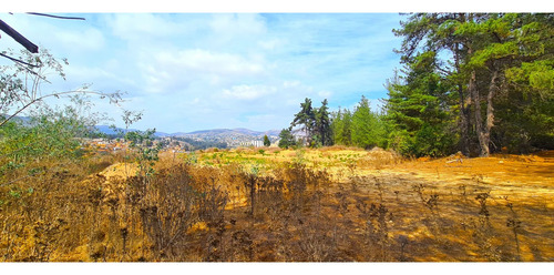 Espectacular Terreno De 10.000m² Hacienda Reñaca