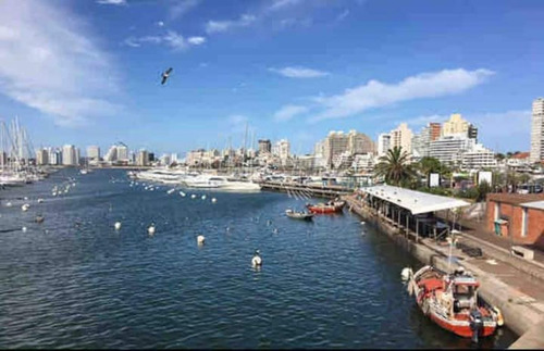 Imagen 21 de 30 de Apartamento Estudio Zona Puerto De Punta Del Este - Punta Del Este Peninsula