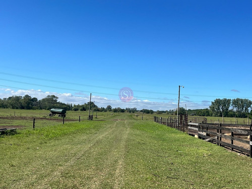 Terreno Campo En Venta En Ruta 28, Pilar, G.b.a. Zona Norte