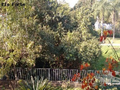 Imagem 6 de 30 de Chácara Para Venda No Jardim Panorama Em Indaiatuba (itaici) - Ch00377 - 3516846