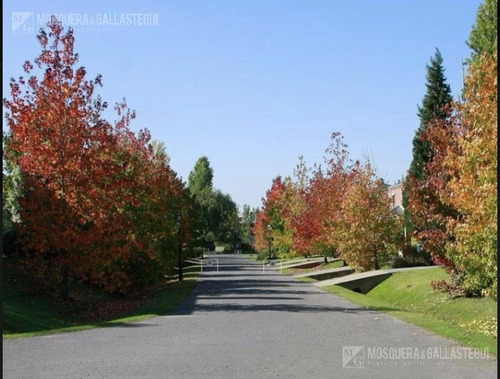 Imagen 2 de 2 de Terreno - Pilar Del Este Santa Emilia
