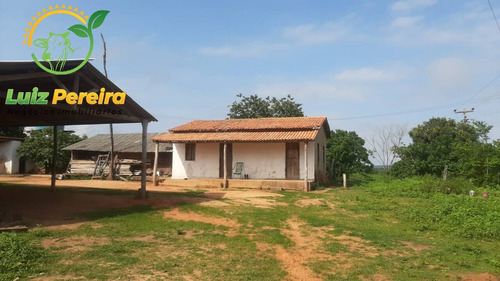 Imagem 11 de 15 de Fazenda À Venda Em Grajaú - Ma - 1.500 Hectares (dupla Aptidão) - 2114
