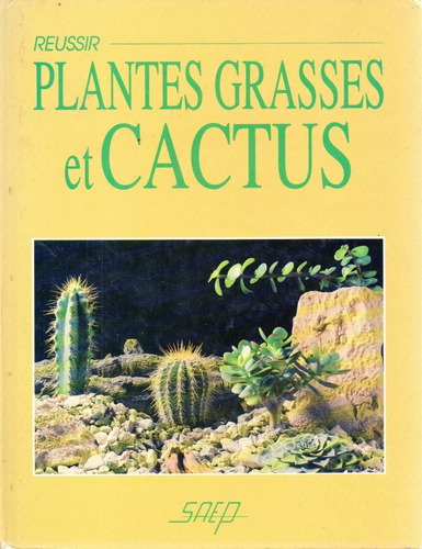 Plantas Grasses Et Cactus Reussir 