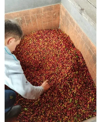 Oportunidad De Inversion Fabrica Y Finca De Café